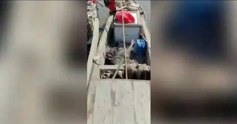 ഗുജറാത്ത് തീരത്ത് 11 പാക് മത്സ്യബന്ധന ബോട്ടുകൾ പിടികൂടി ഗുജറാത്ത് തീരത്ത് 11 പാക് മത്സ്യബന്ധന ബോട്ടുകൾ പിടികൂടി