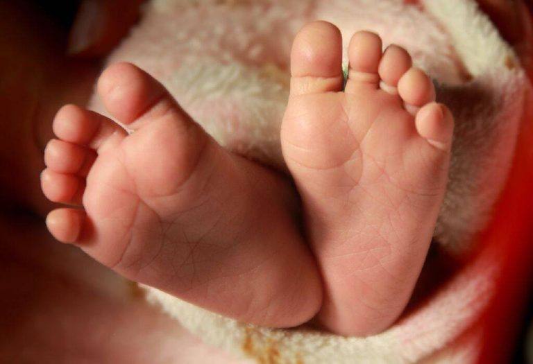 തൃക്കാക്കരയിൽ പരിക്കേറ്റ രണ്ടരവയസ്സുകാരിയെ ഇന്ന് ഡിസ്ചാർജ് ചെയ്യു൦; തുടർചികിത്സ തിരുവനന്തപുരം ശ്രീചിത്രയിൽ