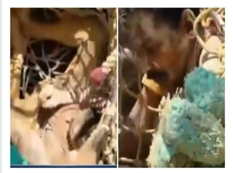 കിണർ വൃത്തിയാക്കുന്നതിനിടെ മണ്ണിടിഞ്ഞു വീണു; 38 അടി താഴ്ചയിൽ അകപ്പെട്ട തൊഴിലാളിയെ രക്ഷപ്പെടുത്തി കിണർ വൃത്തിയാക്കുന്നതിനിടെ മണ്ണിടിഞ്ഞു വീണു; 38 അടി താഴ്ചയിൽ അകപ്പെട്ട തൊഴിലാളിയെ രക്ഷപ്പെടുത്തി