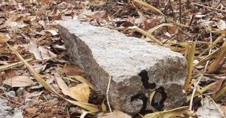 ചങ്ങനാശ്ശേരിയിലും കല്ലായിയിലും കല്ലുകള്‍ പിഴുതുമാറ്റി സമരക്കാര്‍; പ്രതിപക്ഷനേതാവും സംഘവും മാടപ്പള്ളിയില്‍