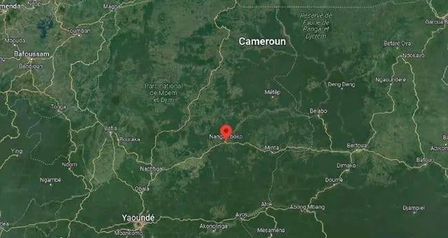 കാമറൂൺ തലസ്ഥാനമായ യൗണ്ടെയിൽ വിമാനം തകർന്നു വീണു