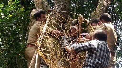 ചോല വെട്ടാൻ മരത്തിൽ കയറിയ യുവാവ് ബോധരഹിതനായി മരിച്ചു ചോല വെട്ടാൻ മരത്തിൽ കയറിയ യുവാവ് ബോധരഹിതനായി മരിച്ചു