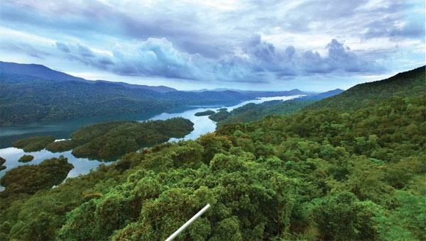 ബഫര്സോണ്: ജനവാസ മേഖല, കൃഷിയിടങ്ങള് ഒഴിവാക്കും; പുതിയ ഉത്തരവ് പുറത്തിറക്കി സര്ക്കാര് ബഫര്സോണ്: ജനവാസ മേഖല, കൃഷിയിടങ്ങള് ഒഴിവാക്കും; പുതിയ ഉത്തരവ് പുറത്തിറക്കി സര്ക്കാര്