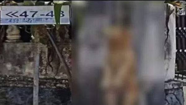 കോട്ടയത്ത് തെരുവുനായയെ കൊന്ന് കെട്ടിത്തൂക്കി റീത്ത് വെച്ചു; പൊലീസ് അന്വേഷണം കോട്ടയത്ത് തെരുവുനായയെ കൊന്ന് കെട്ടിത്തൂക്കി റീത്ത് വെച്ചു; പൊലീസ് അന്വേഷണം