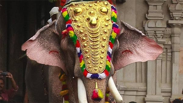 തെച്ചിക്കോട്ടുകാവ് രാമചന്ദ്രനെ എഴുന്നള്ളിക്കുന്നതിന് ഹൈക്കോടതി വിലക്ക് തെച്ചിക്കോട്ടുകാവ് രാമചന്ദ്രനെ എഴുന്നള്ളിക്കുന്നതിന് ഹൈക്കോടതി വിലക്ക്