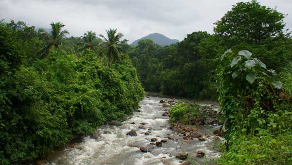 കല്ലാറില് ഒഴുക്കില്പ്പെട്ട് സഹോദരങ്ങളുള്പ്പെടെ മൂന്ന് പേര് മരിച്ചു കല്ലാറില് ഒഴുക്കില്പ്പെട്ട് സഹോദരങ്ങളുള്പ്പെടെ മൂന്ന് പേര് മരിച്ചു
