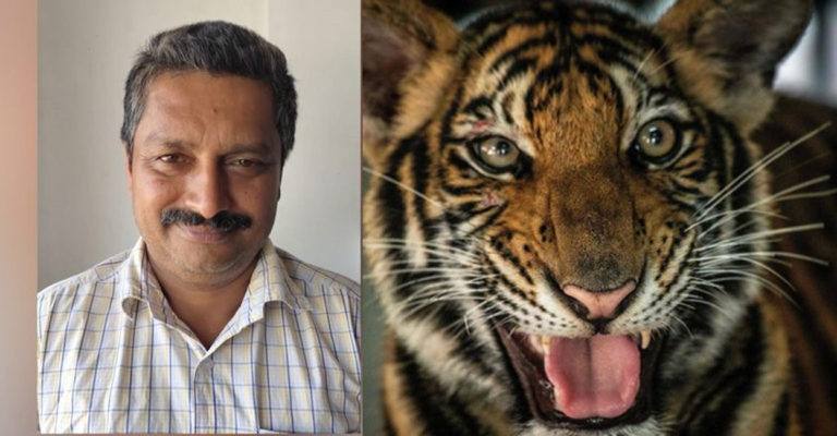 വയനാട്ടുകാരുടെ ഉറക്കം കെടുത്തുന്ന കടുവാ ആക്രമണത്തിന് എതിരേ പ്രതിഷേധം ശക്തം വയനാട്ടുകാരുടെ ഉറക്കം കെടുത്തുന്ന കടുവാ ആക്രമണത്തിന് എതിരേ പ്രതിഷേധം ശക്തം